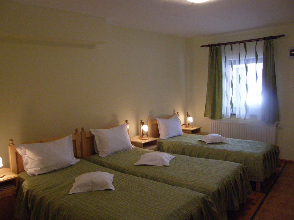 Mokus Panzio Bed and Breakfast Bicfălău Værelse billede